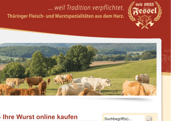 Screenshot des alten Onlineshops.